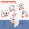 Jumping and Talking Bunny for Kids | Top Quality