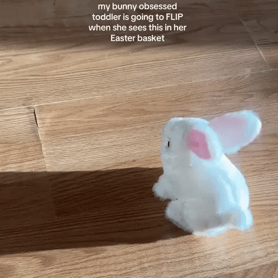 Jumping and Talking Bunny for Kids | Top Quality